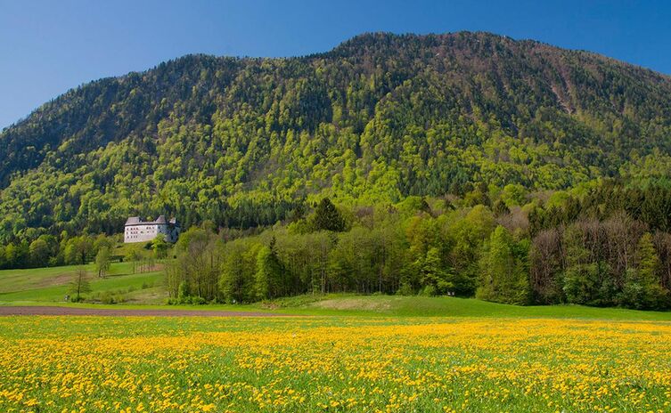 Der Fuderheuberg, davor Schloss Staufeneck