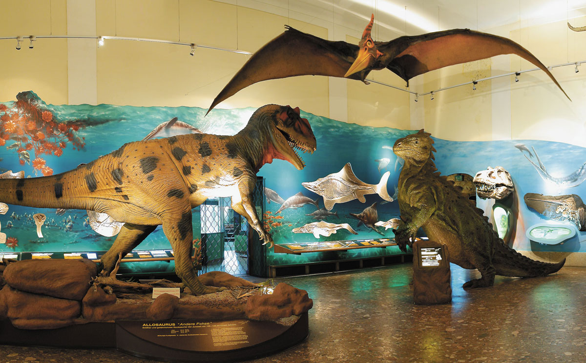Haus Der Natur 2