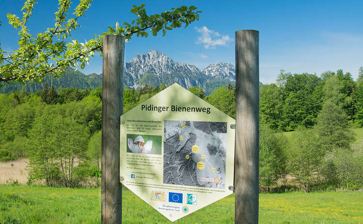 Der Pidinger Bienenweg