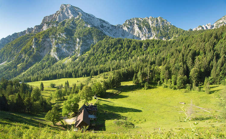 Die Steiner Alm am Fuße des Hochstaufen