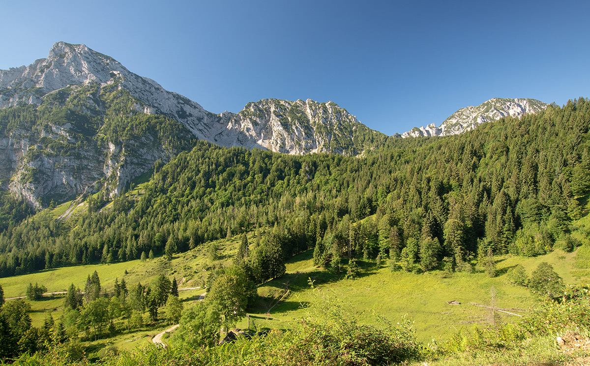 Steineralm 11