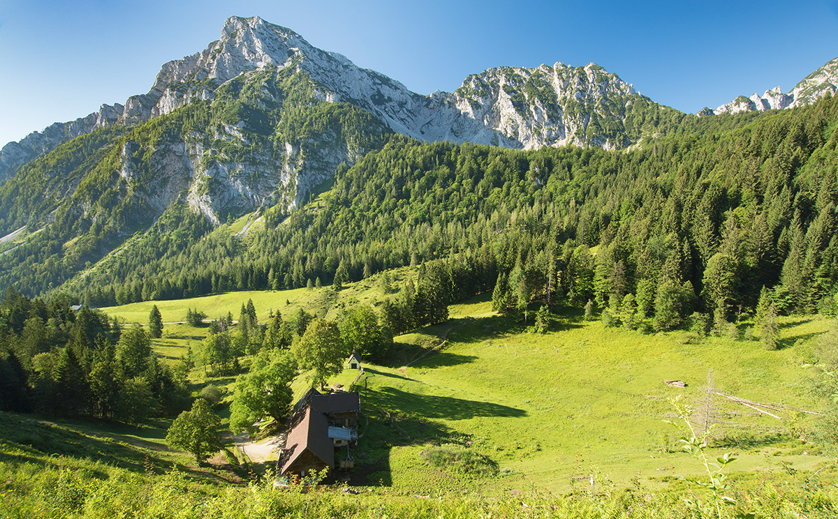 Steineralm 2