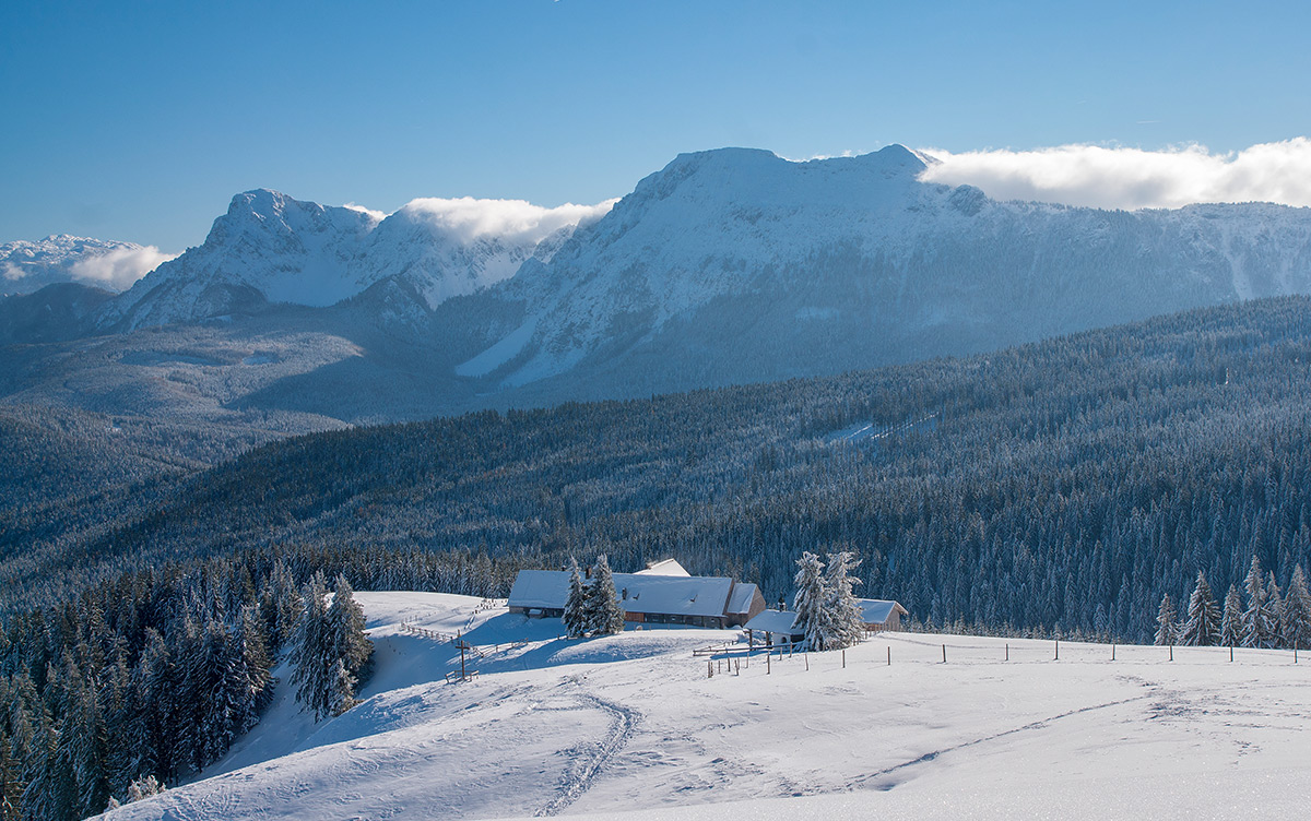 Stoisser Alm 12