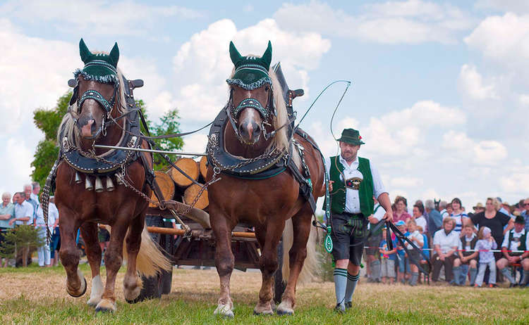 Beim Leonhardiritt in Holzhausen | Teisendorf