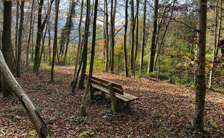 Wanderung zur Kneippanlage Rohrbrunn